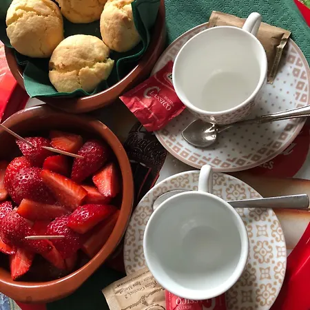 La Mimosa